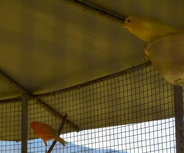 Casa vacanze Casinha Do Eido Novo - Local